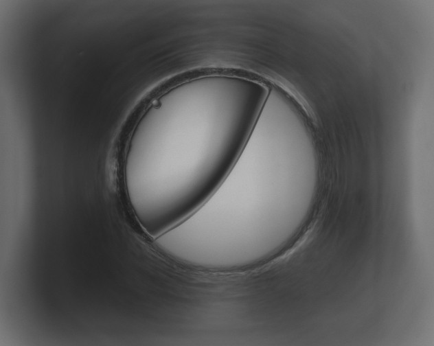 X0000101950926200807180659