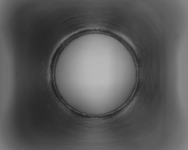 X0000101950927200807180659