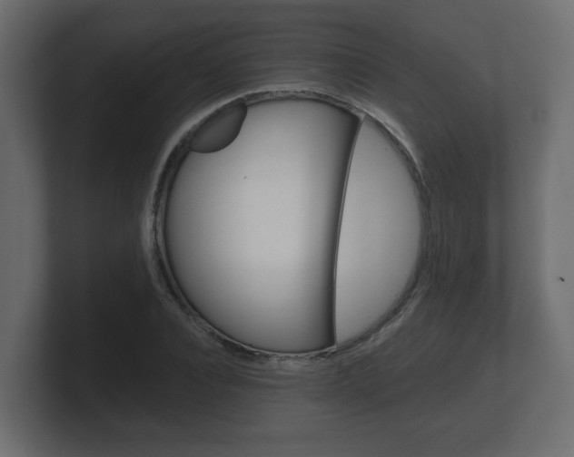 X0000101950928200807180659