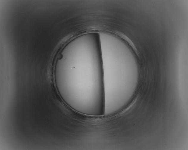 X0000101950930200807180659