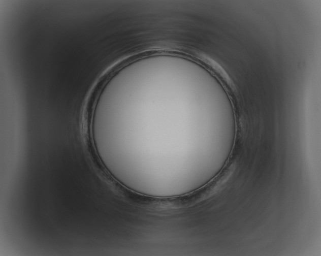 X0000101950931200807180659