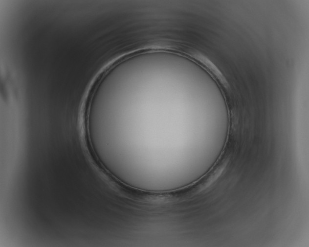 X0000101950939200807180659