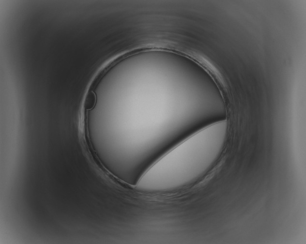 X0000101950940200807180659