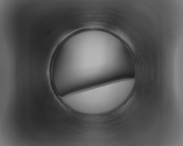 X0000101950943200807180659