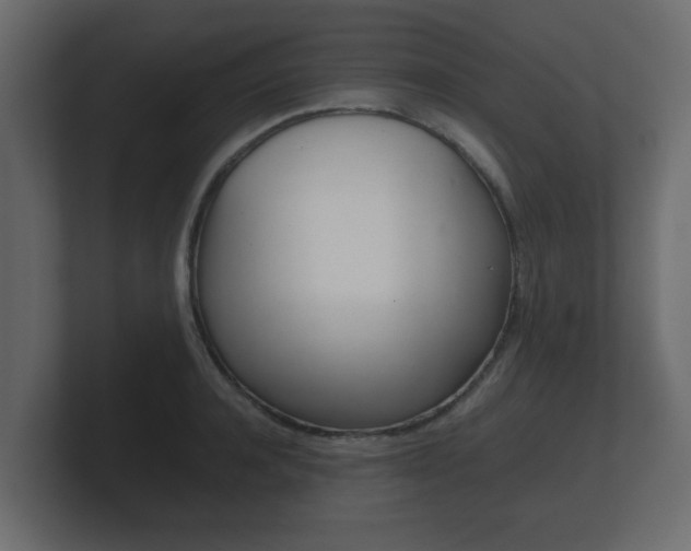 X0000101950944200807180659
