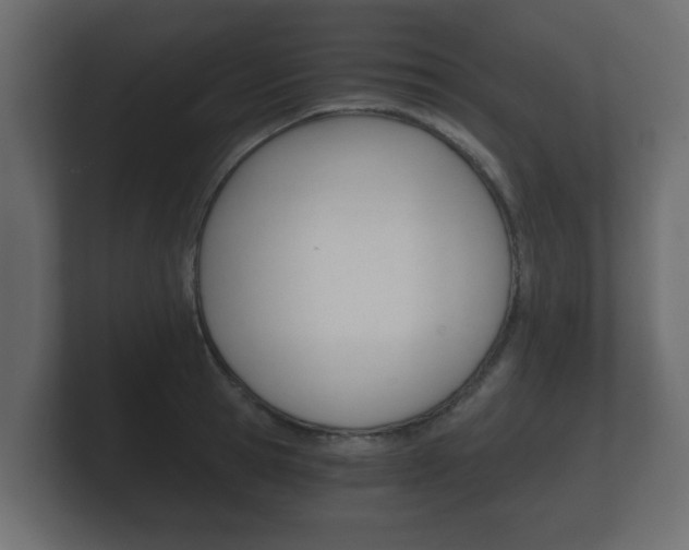 X0000101950945200807180659