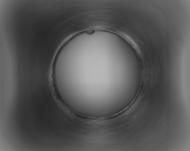 X0000101950948200807180659