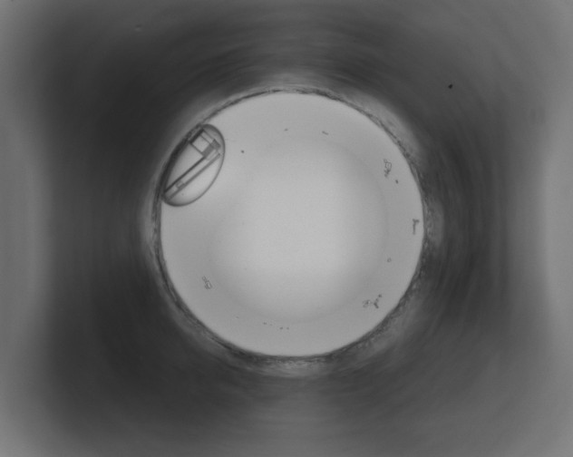 X0000101950950200807180700