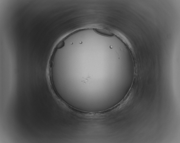 X0000101950952200807180700