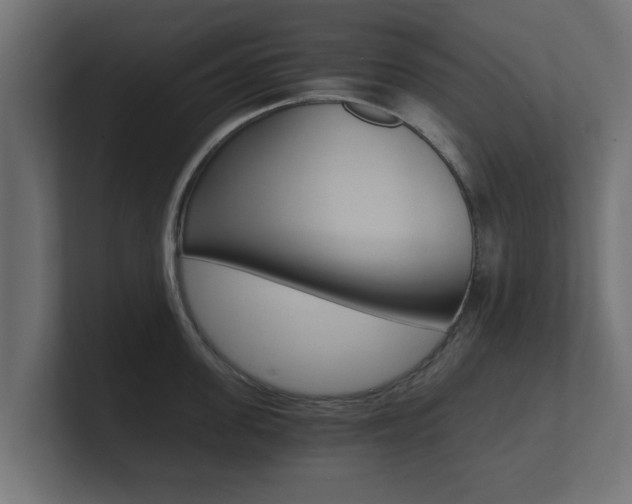 X0000101950955200807180700