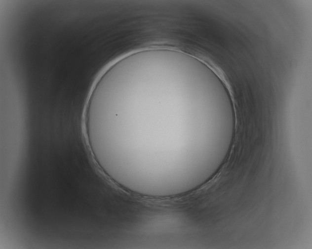 X0000101950960200807180700