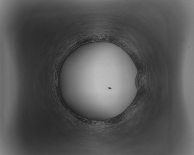 X0000101950961200807180659