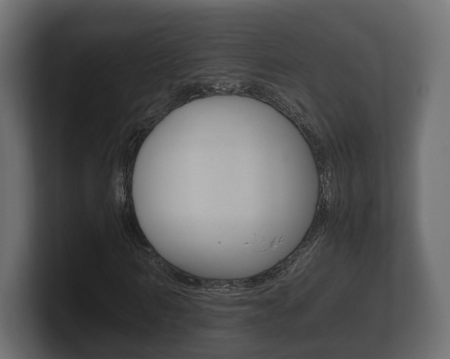 X0000101950962200807180659