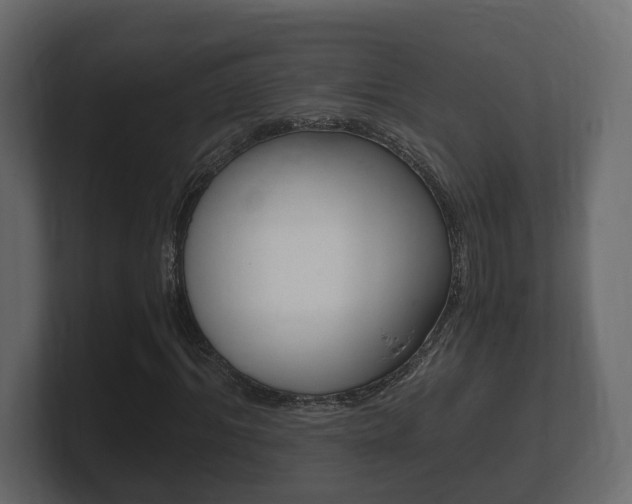 X0000101950964200807180659