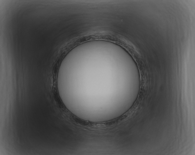 X0000101950966200807180659