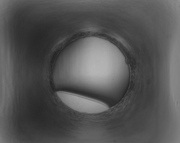 X0000101950967200807180659
