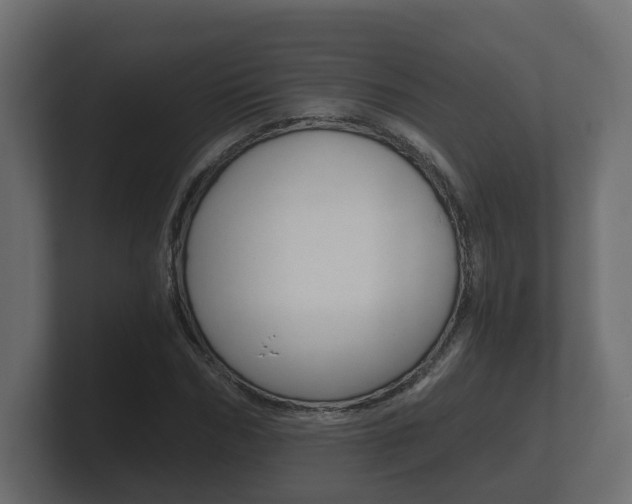 X0000101950970200807180659