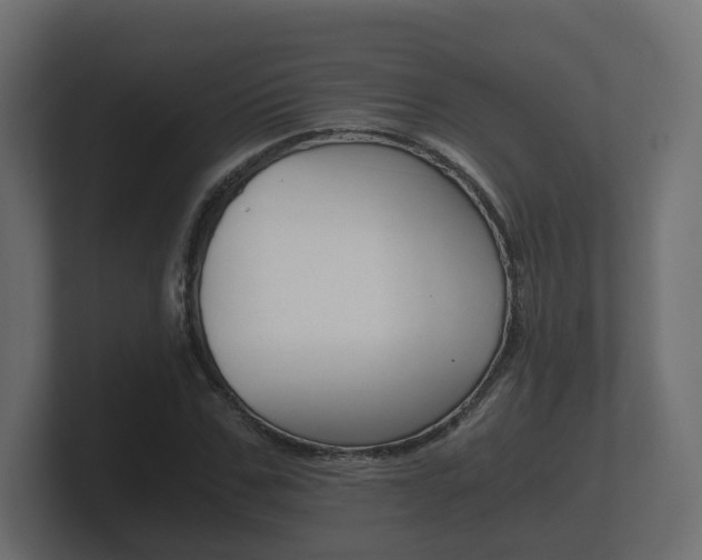 X0000101950971200807180659