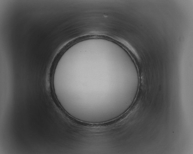 X0000101950972200807180659