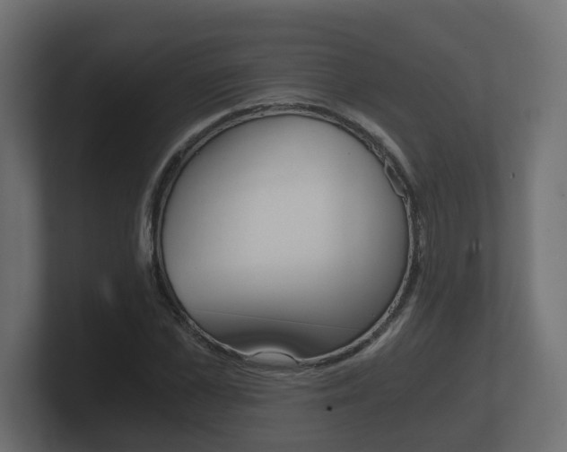 X0000101950973200807180659
