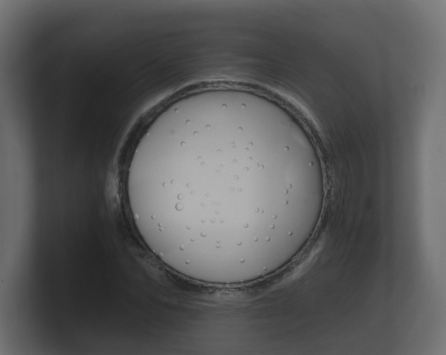 X0000101950974200807180659