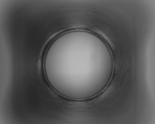 X0000101950975200807180659