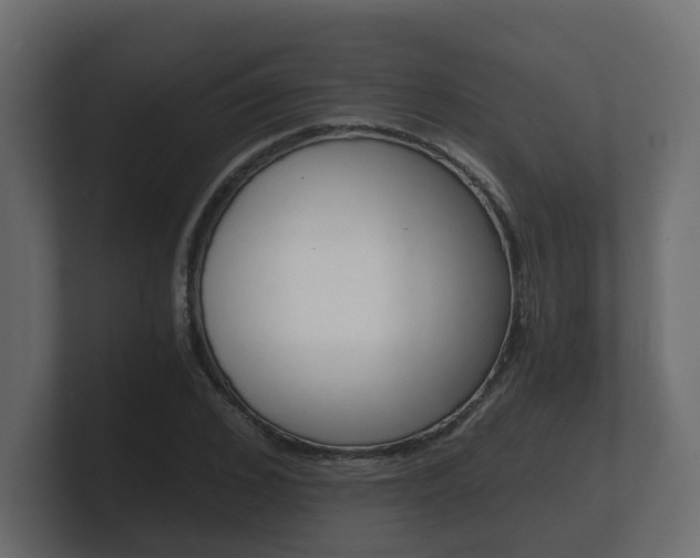 X0000101950976200807180659
