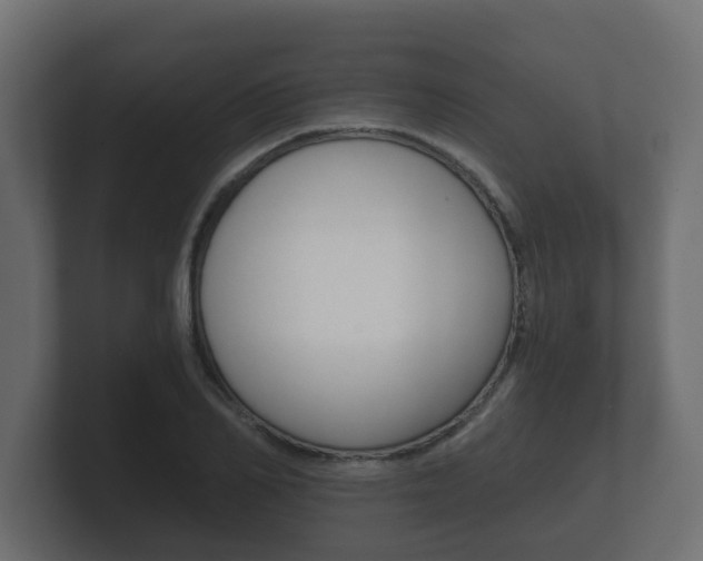 X0000101950982200807180659