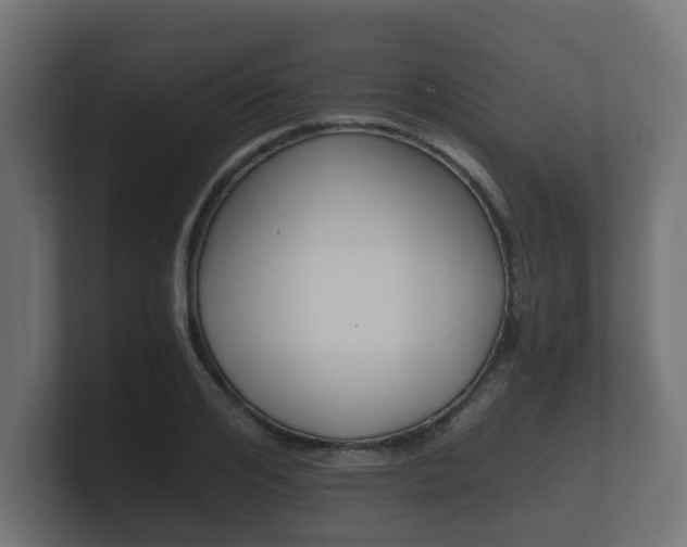 X0000101950984200807180659