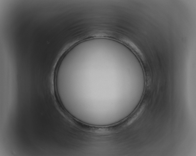 X0000101950986200807180659