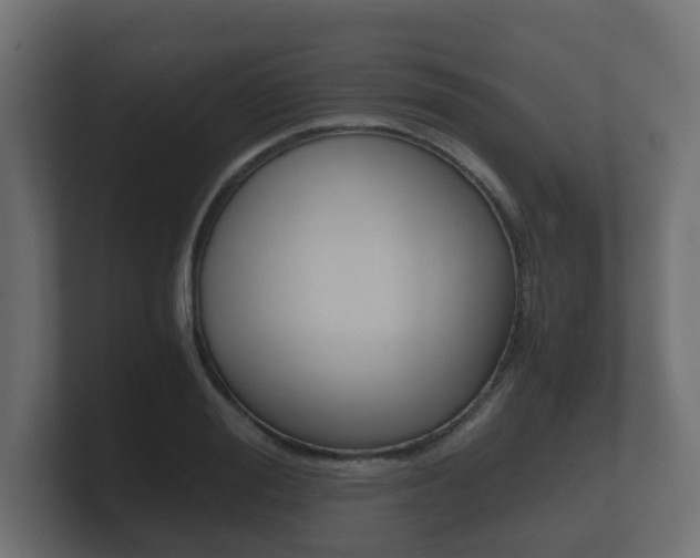 X0000101950988200807180659