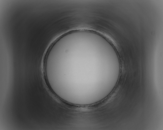 X0000101950990200807180659