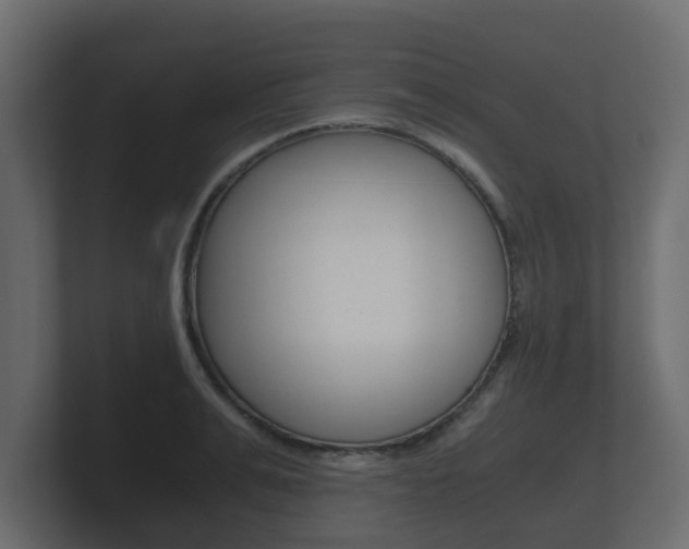X0000101950991200807180659
