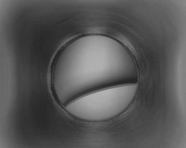 X0000101950992200807180659