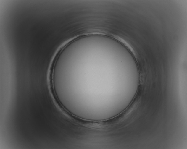 X0000101950995200807180659
