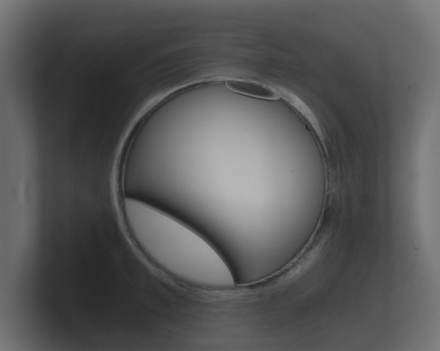 X0000101950997200807180659