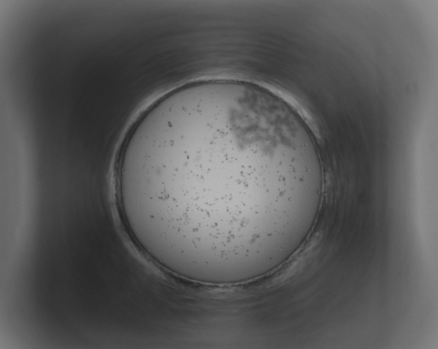 X0000101950998200807180659