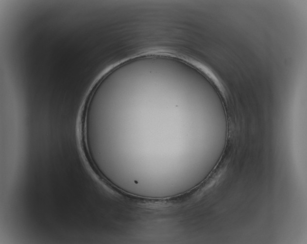 X0000101950999200807180659