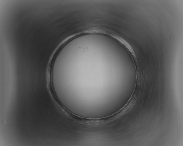 X0000101951000200807180659