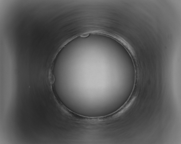 X0000101951001200807180658