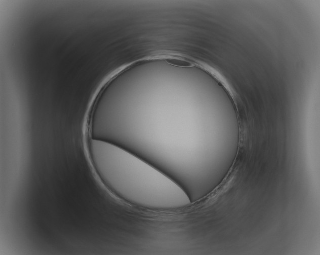 X0000101951003200807180658