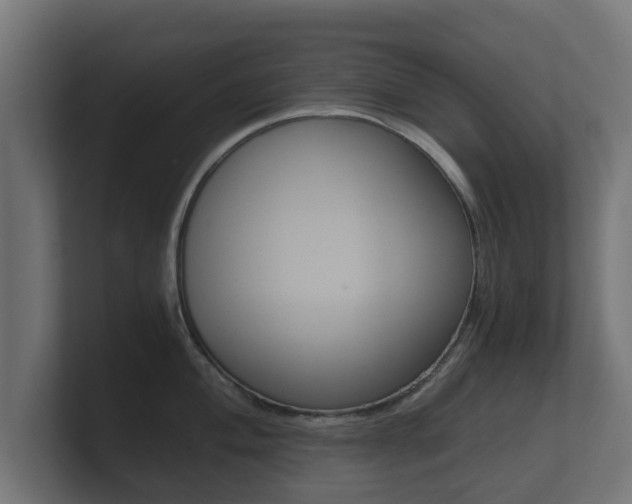 X0000101951004200807180658
