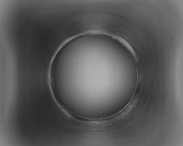 X0000101951005200807180658