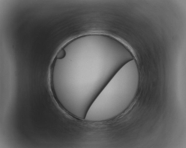 X0000101951006200807180658