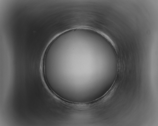X0000101951007200807180658