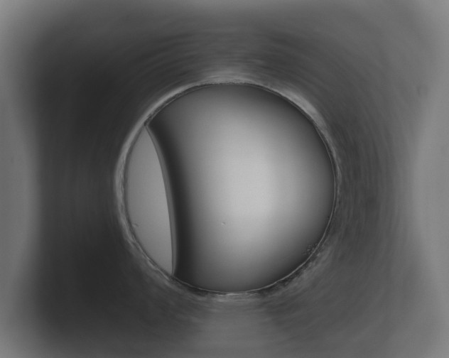 X0000101951008200807180658