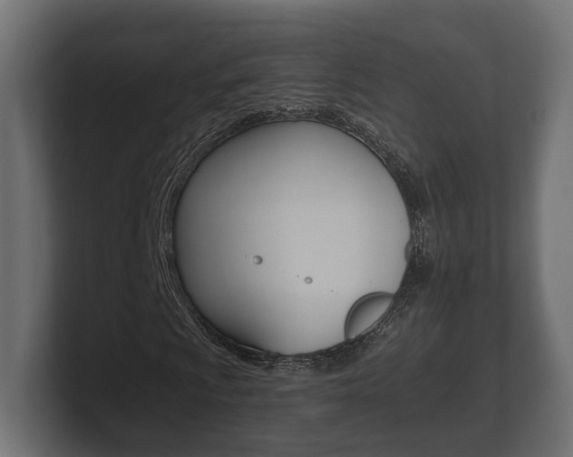 X0000101951009200807180658