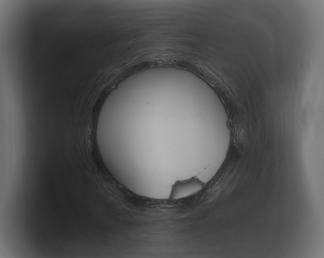 X0000101951010200807180658