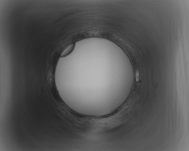 X0000101951011200807180658