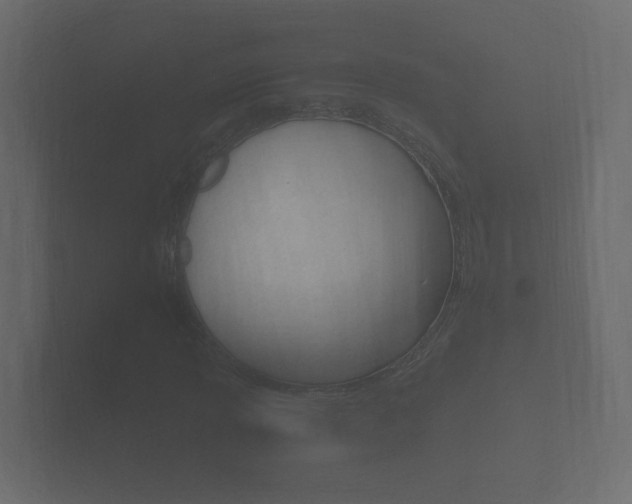 X0000101951013200807180658